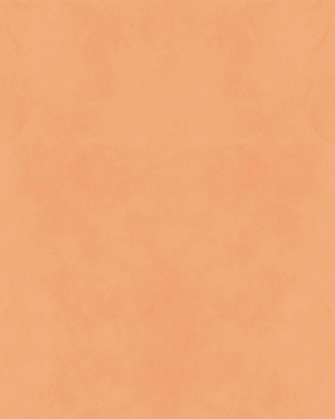 Hatte Me! Palette | 06 Apricot